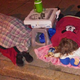 Protesters sleeping outside at the Monroe County Republican Committee headquarters